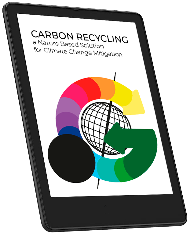 Carbon Recycling ebook